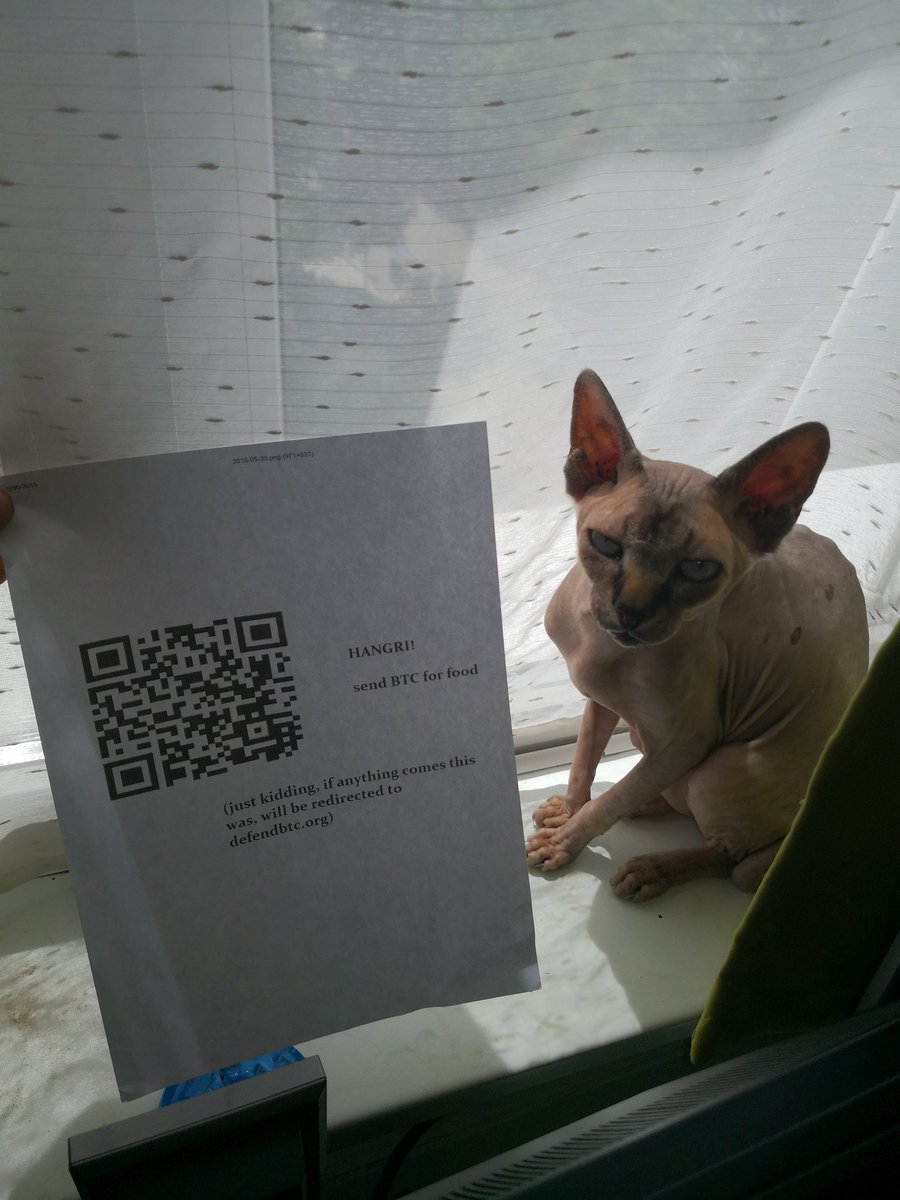stgcata's tweet photo. @NODEfather #DefendBTC https://t.co/8rW36o9nFd