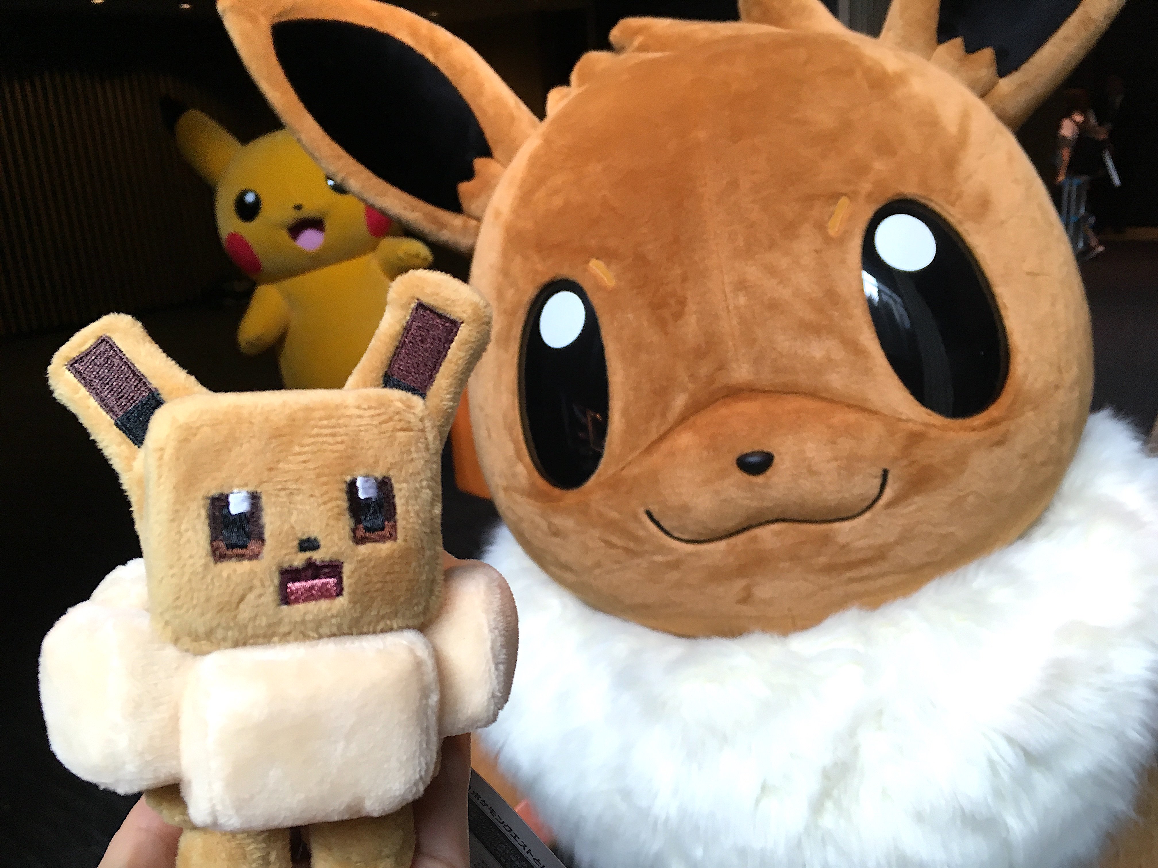 公式 プロジェクトイーブイ 続 なお ポケモンクエスト Nintendo Switch版は今日から遊べます Ios Android版は 6月末配信予定なのでお楽しみに 今週末の6月2日 土 には ポケモンセンター ポケモンストアで関連グッズもどどんと登場です