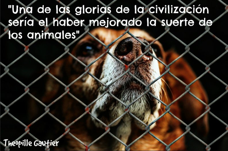 Rober_CalvoB's tweet photo. Cuidemos a los animes, hagamos un 🌍 mejor para todos @FpLaMerced 
#FelizMiercoles #FraseDelDía https://t.co/cpQGi0QrrZ