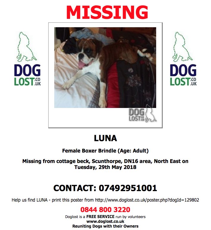 DogLostUK's tweet photo. https://t.co/jt1sXwNKjV
#LOST #DOG LUNA
Female #Boxer
#Scunthorpe #DN16
Tuesday, 29th May 2018 #LostDog #ScanMe https://t.co/z1QgQi95Ec @VetsGetScanning @SAMPAuk_ https://t.co/JbTC8JGvyy