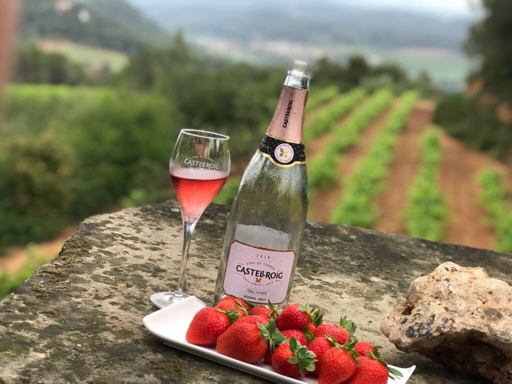 castellroig's tweet photo. Avui ens han visitat alumnes de l’Institut Marti Dot. https://t.co/SukE3gxQ3L
#vi #vino #wine #cava #visitacastellroig #sabateicoca #enoturisme #enoturismo #vinsdeterrer #vinosdeterroir #cavasdeparatge #cavasdeparaje #penedes #barcelona #bestwinery #corpinnat https://t.co/4QPf3Rxvfj