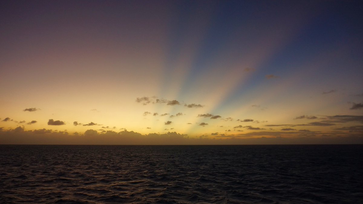 Vernon Intveld tweet media