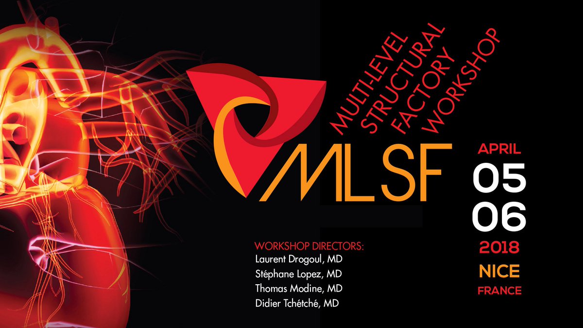 incathlab's tweet photo. #DISCOVER #INREPLAY THE 1ST EDITION OF @MLSFcongress !!! https://t.co/dNS3aa0KXp The aim of this workshop is to provide a tailor-made support to all beginners interventional cardiologists and cardiac surgeons, from procedure's first steps to regular daily practice interventions. https://t.co/fgOmSGK53r