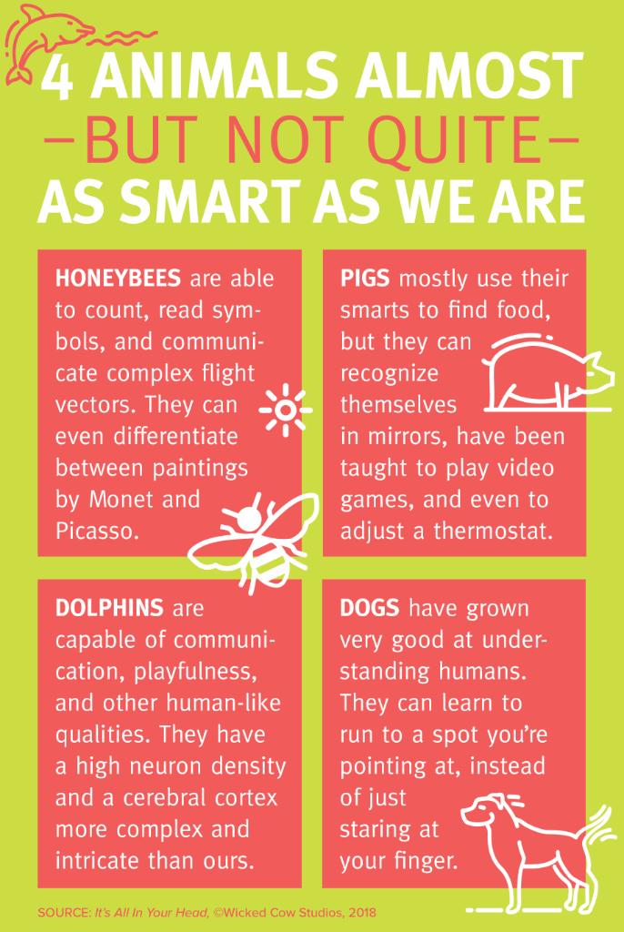 Did you know honeybees are able to count and read symbols? They can even differentiate between paintings by Monet and Picasso! From our friends <a href="/TheBrainNinjas/">It's All In Your Head</a>: