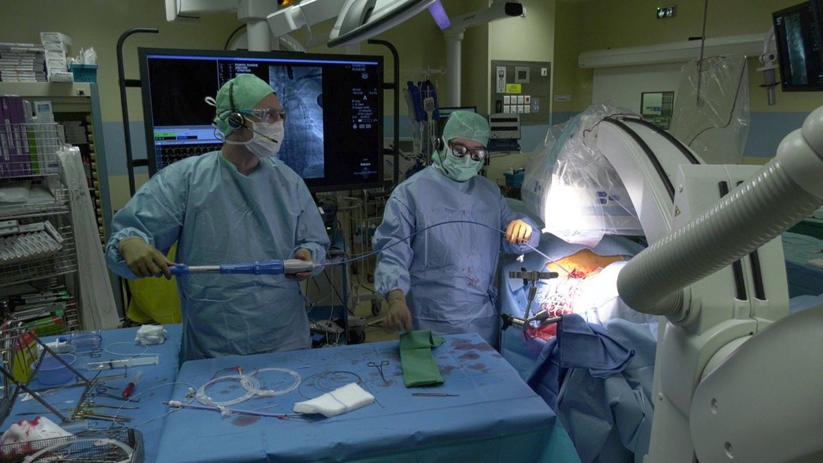 MLSFcongress's tweet photo. #DISCOVER #INREPLAY THE 1ST EDITION OF #MLSF!!! https://t.co/BdlpQtFoDi The aim of this workshop is to provide a tailor-made support to all beginners interventional cardiologists and cardiac surgeons, from procedure's first steps to regular daily practice interventions. https://t.co/Ov3zsjSI5j