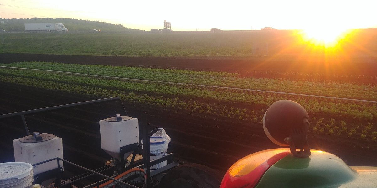 carronfarms's tweet photo. @carronfarms #plant18 seeding last field of carrots #sunrise #yellowcarrots #heirloom @growernews @HollandMarshGro watching hwy 400 traffic #alreadyatwork safe drive to all especially my wife https://t.co/G2YqCVsFmp