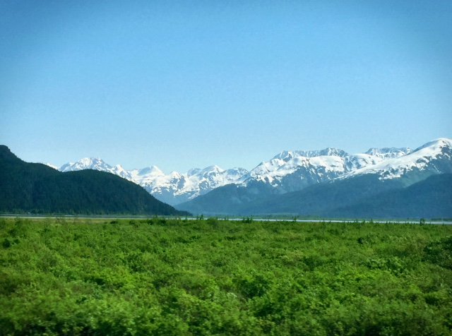 cypherdecrypt's tweet image. #Satori in the mountains where the sky meets the Earth~

 #Crypto,#Cryptoflow,#cypherdecrypt,#BlueandGreen,#Deepbreath 🌲🌿