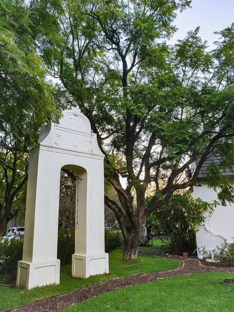 Lloyd Loots tweet media