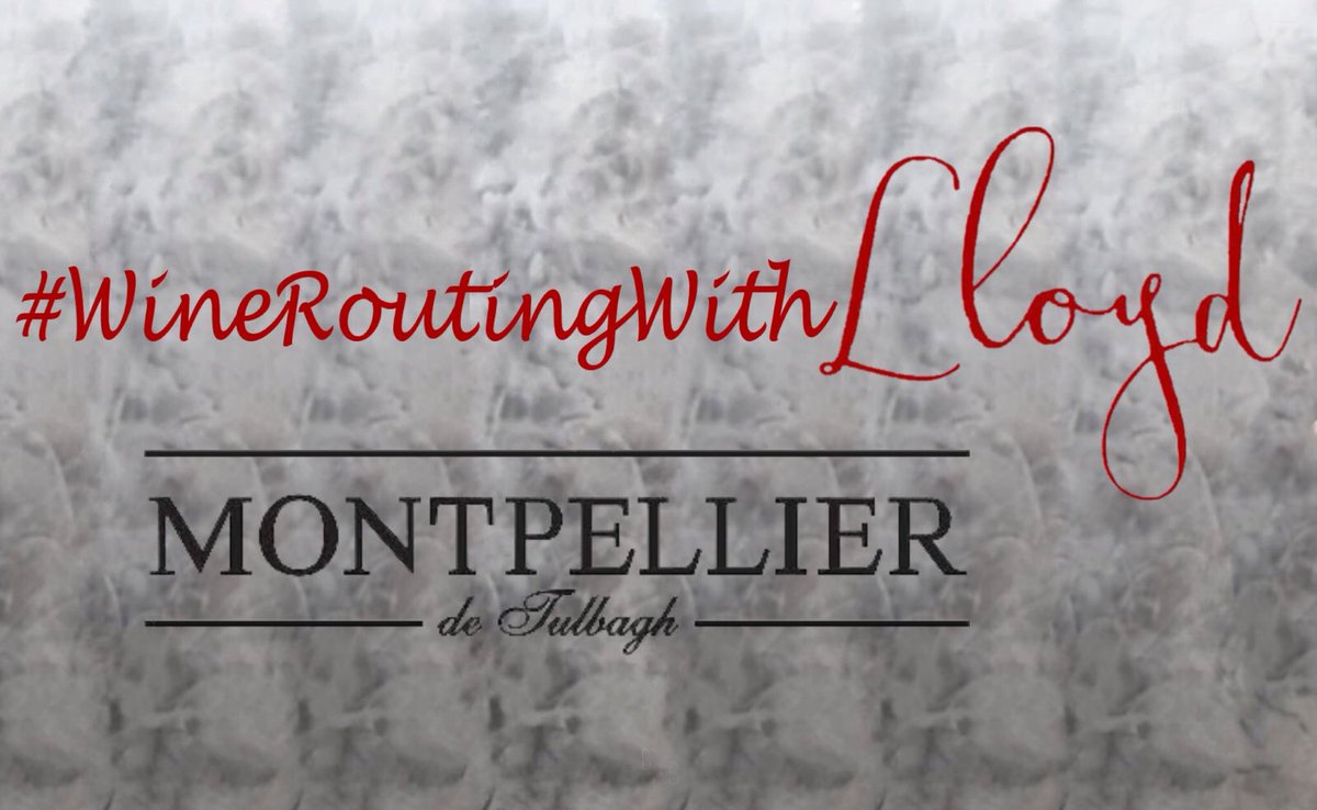 Lloyd Loots tweet media