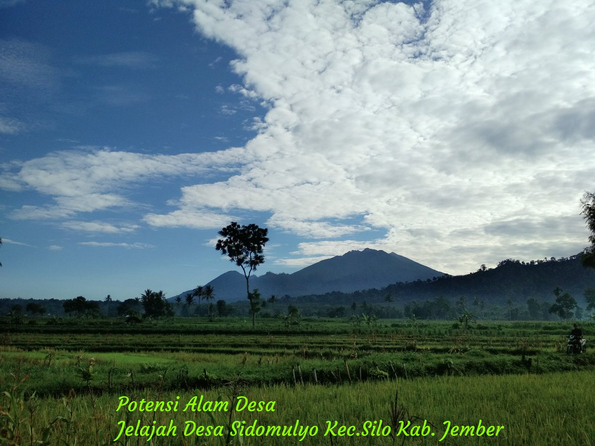 DynsExcellency's tweet photo. #JelajahDesa2018
#TPPIJawaTimur
#TPPIKabJember
Potensi wisata desa sidomulyo 
@CakimiNOW
@EkoSandjojo
@jokowi
@anwsanusi
@taufikmadjid71
@fachrilabalado
@AndryDewantoAh1
@fourzanitongjay
@Merdiawan_dodik
@EnnikYudhayanti
@ilzam_zawawi
@RahmaniKurnia
@alifatulLailiy1 https://t.co/1K7OsflzDH