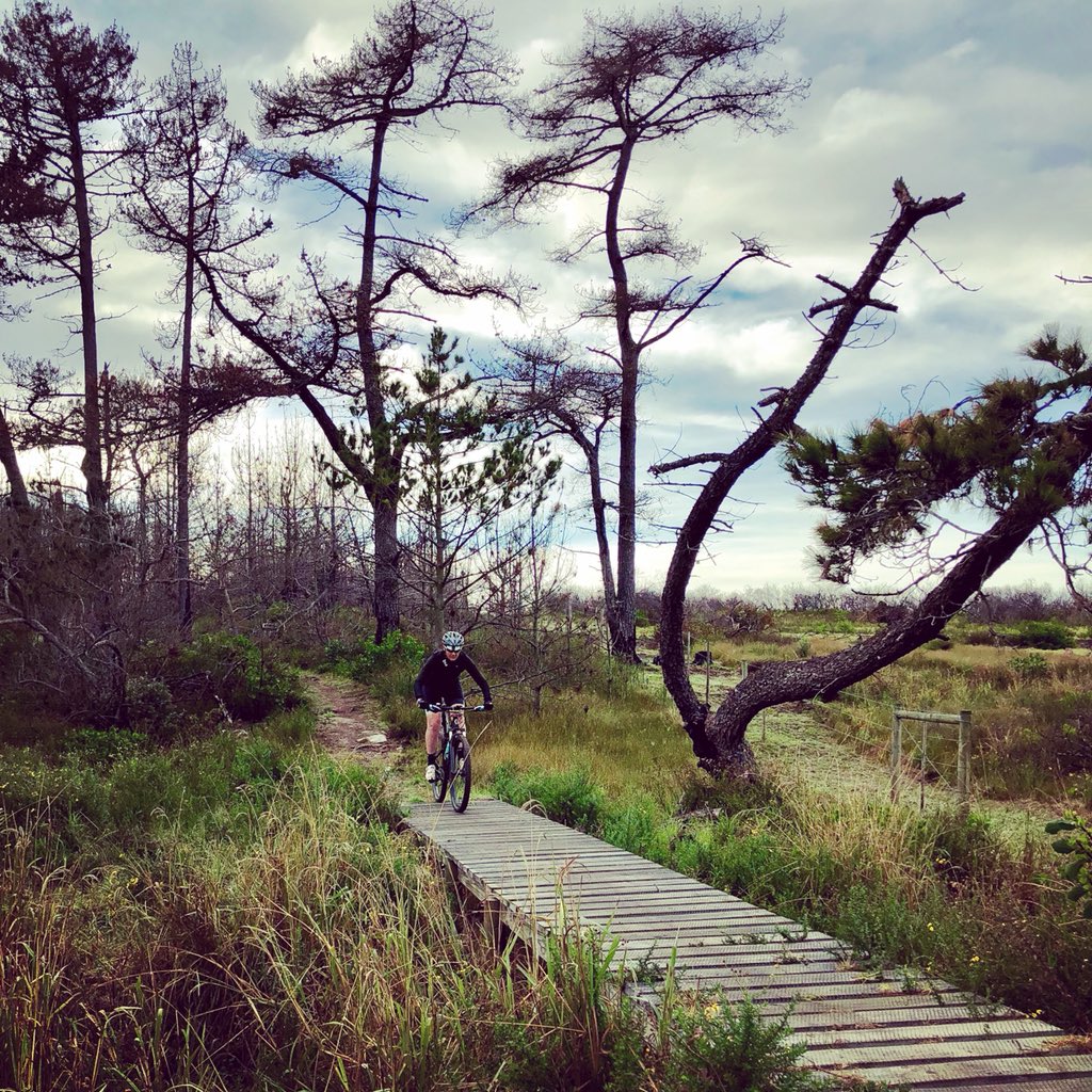 Wouldn’t you rather be here? 😍 Day 3️⃣ taking in the splendour of Cairnbrogie, the Coast &amp; the Forest 

#heaven #girlpower #just4girls #spoils #Plett #outsideisfree #instacycling #ridelikeagirl #girlpower #cycling #naturelovers #explore #bikelife #cyclinglife #thepowerofℹ️