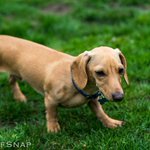 Photo by WoofGroup (@WoofGroup)