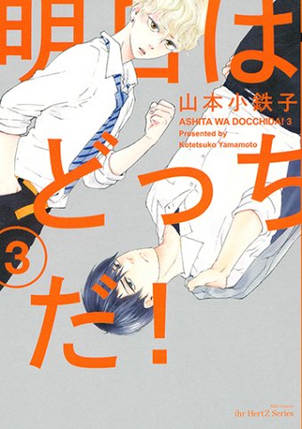 大洋図書／bs-garden（軟式） on X: 