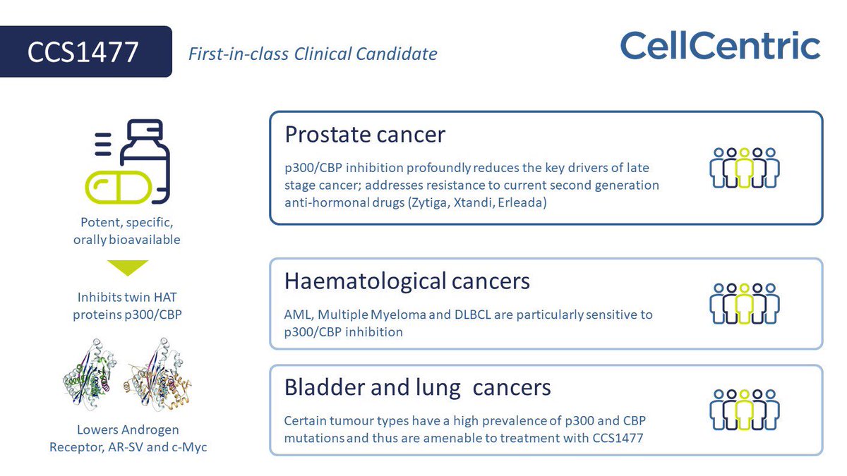 CellCentric's tweet photo. CCS1477 first-in-class p300/CBP inhibitor for prostate (CRPC) and other cancers https://t.co/g74RXD1ulI
