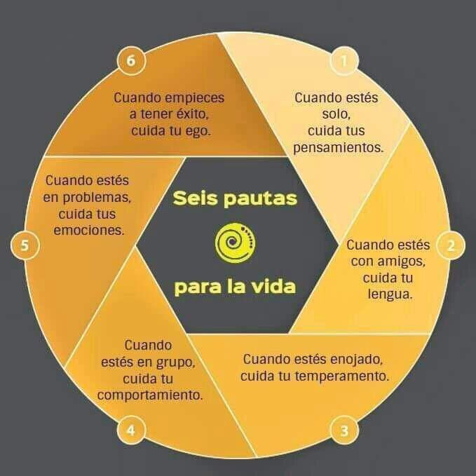 virginiog's tweet photo. 6 pautas para la #vida. No sé de quién es pero me gustó su simplicidad y mensaje.  @marcvigilante https://t.co/MOYpAy5Oz5