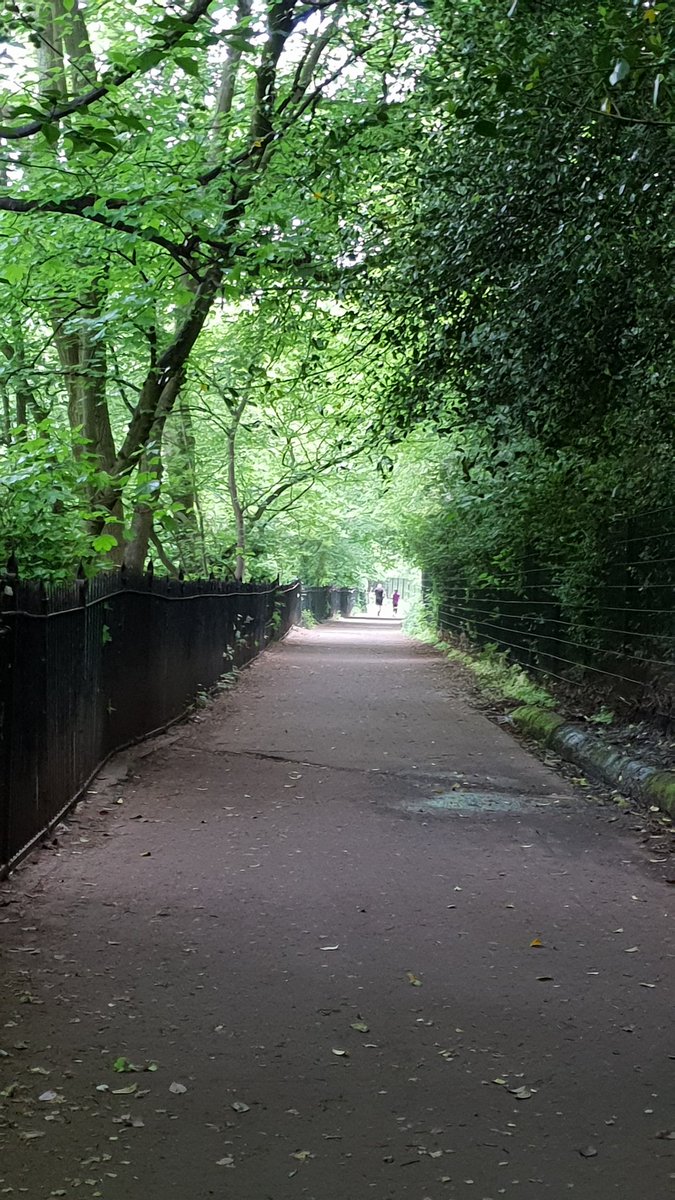 churchmoderator's tweet photo. Mid-week thought. Which paths do we choose to walk? It's not counting steps but making your steps count. #pathsofpeace https://t.co/WlxnIlx6Zz