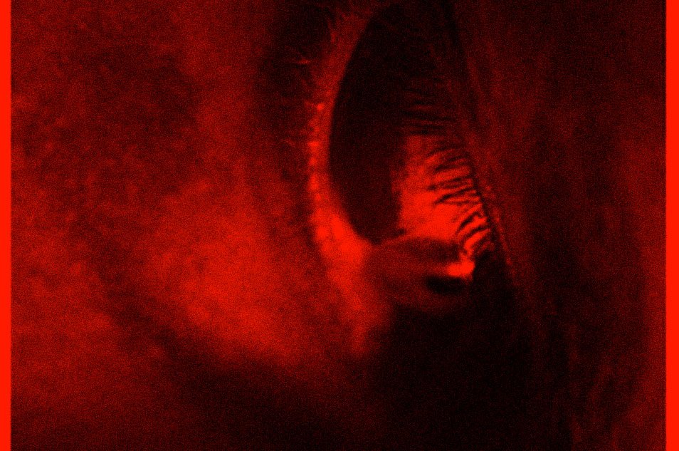 Watch The Hype tweet media