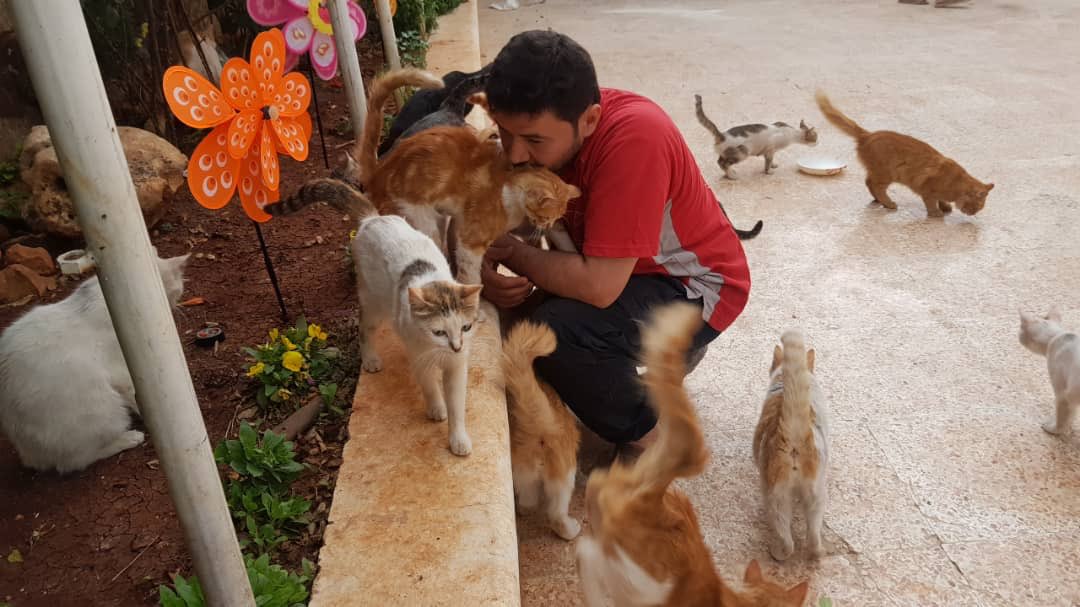 theAleppoCatmen's tweet photo. Playing with our dad ❤️#HouseOfCats #ErnestoSanctuary #Aleppo #SyrianCats @theAleppoCatman https://t.co/IKOPdEgrcK