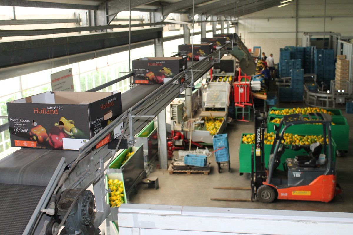 Afgelopen week gingen we langs bij een aantal klanten in de #AGF sector, die onze #lijm gebruiken voor hun dozenopzetmachines!