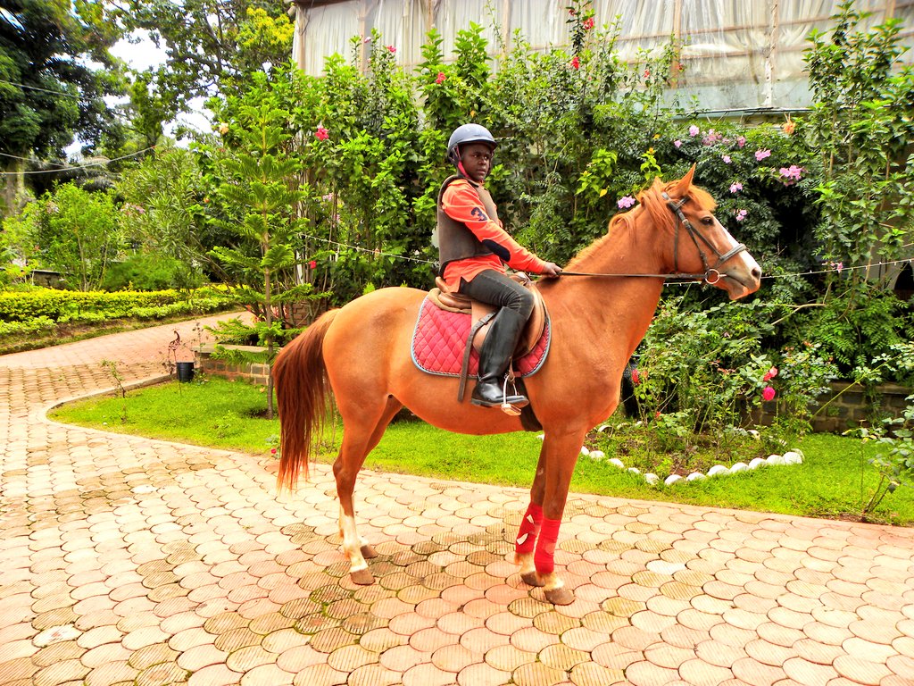 singortfss's tweet photo. Un week-end en or dans les hautes terres de l'Ouest 🇨🇲 vous tente? 

Alors,  voici #Le_Haras_de_BALATCHI, un Havre de paix perché à 1800m d'altitude sur les #MontsBamboutos.

This Resort is #Bae et La #tranquillité est au rendez-vous 👌. https://t.co/f6i2UwTYDU