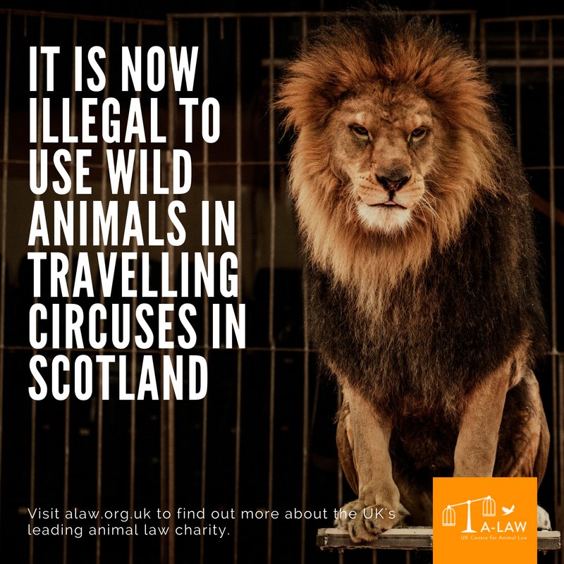 Image result for The Wild Animals in Travelling Circuses (Scotland) Act 2018