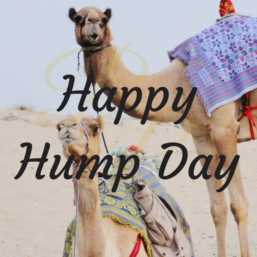 ukperspres's tweet photo. #HappyWednesday #humpday #maymeme #happyhumpday https://t.co/22WWcsqeqj