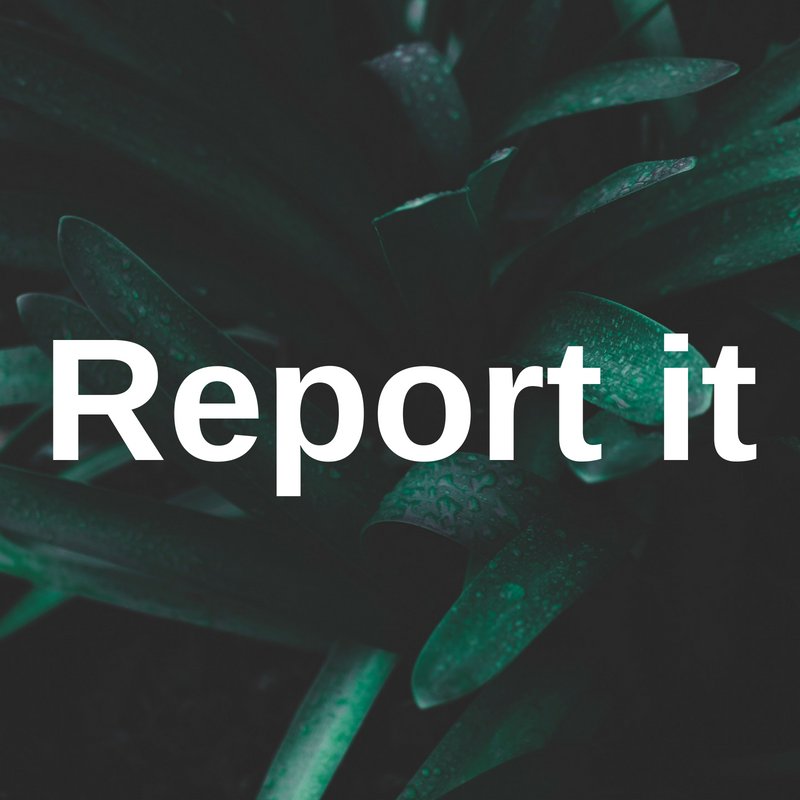 SuttonCouncil's tweet image. Just a reminder that we have limited resources to answer your queries here (although we try!). If you have an issue for the council, please report online at ow.ly/TMC830k8Ghg    or, if you are after an update, DM us. Many thanks. Your Sutton team.