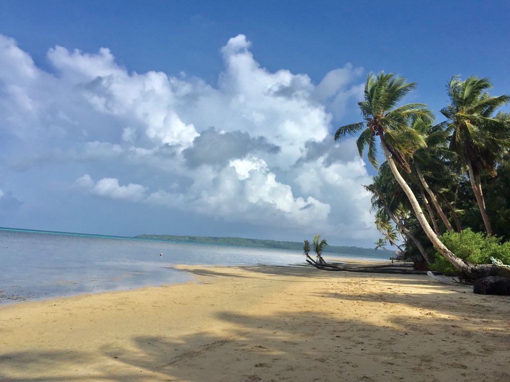ahllieyoubetcha's tweet photo. Stay beachin’ it 🌴🍃🌊
#Yap2018 #ChoolMaap https://t.co/xAVjlQYKRv
