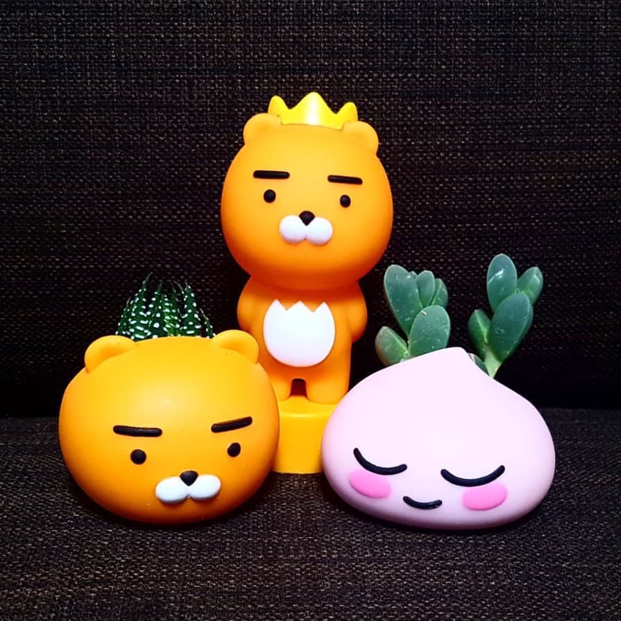xxx___uki___xxx's tweet photo. 昨日ロッテモールぶらぶらしてて、kakaofriendsショップで可愛いもの発見😍

GARDENシリーズ🍃

サボテンかわいすぎ🌵♥️

#韓国好きな人と繋がりたい
#韓国情報
#ワババシェア https://t.co/M3x7vcSz2E