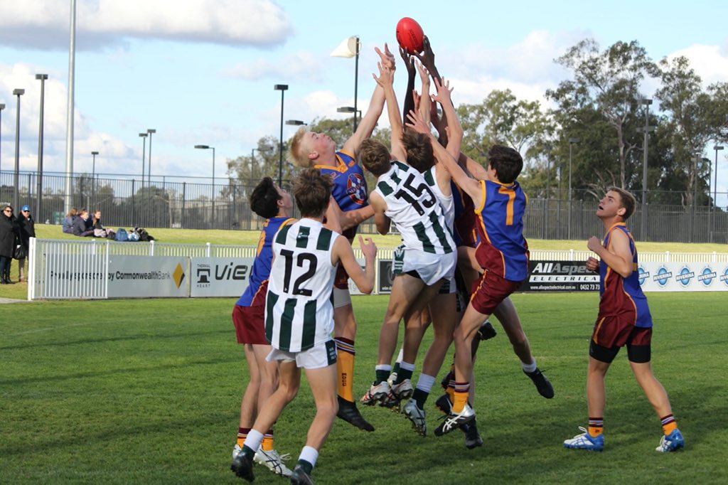 Mater Dei Wagga tweet media