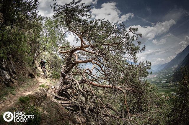 DFY_IO's tweet photo. No words needed 😍 Und morgen ist auch schon wieder Feiertag! Der Mai ist einfach genial 😎 📸 @dennis_proshooto
#racetime #trailtrophy #rideandfly #ride_dfy #defygravitymtb #jersey #oekotex100 #fairwear #mtb #enduro #downhill #bikelife #flow #moutains #enjoylife #summer #goo… https://t.co/6XBSPzXfa5