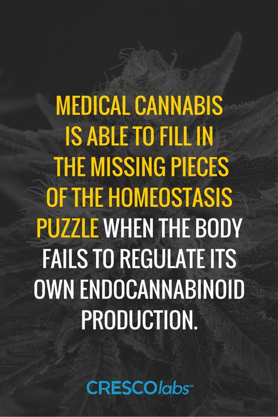 👩‍🏫 #MedicalCannabis is able to fill in the missing pieces of the homeostasis puzzle when the body fails to regulate its own endocannabinoid production 🎈