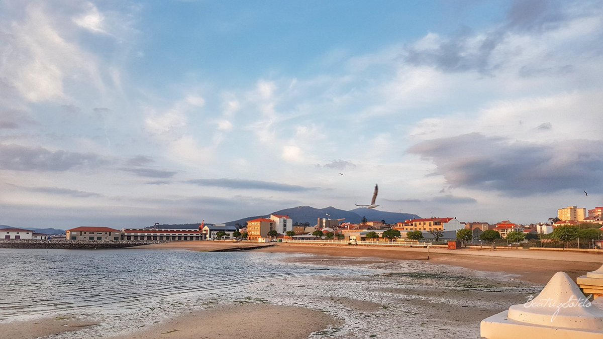 #BDías🐦🐦!! #FelizMiércoles #Vilaxoán #Arousa <a href="/VisitOSalnes/">Visit O Salnés ®</a> <a href="/turisriasbaixas/">Turismo Rías Baixas</a> <a href="/Turgalicia/">Turismo de Galicia</a> <a href="/Turvegal/">Turvegal</a> <a href="/Galicia_Mola/">Galicia Mola :)</a> <a href="/SecretGalicia/">Secret Galicia</a> <a href="/Galifornia_Gal/">Galifornia_Galicia</a> <a href="/playea_es/">Playea</a> <a href="/Caminanteplanet/">Caminante del Planeta</a> <a href="/ALCALDEJOS/">María José Alcalde</a> <a href="/manuG2R/">Manuel Grueira </a> <a href="/loroma61/">Loli</a> <a href="/nisiu07/">manuel</a> <a href="/o_franco_aleman/">Franck Marc ✌</a> <a href="/seelser/">Maria</a> @Pau1077 <a href="/VisitArousa/">Visit Arousa</a> #spain #visitspain