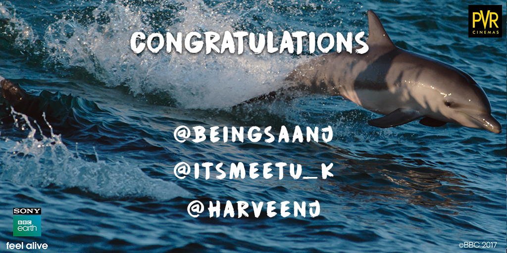 _PVRCinemas's tweet photo. #BluePlanet2 #PVRContest saw immense participation and we were quite taken aback by the number of people who got the answers right. Here's the list of winners from the contest. #PVRContest #BluePlanet2AtPVR https://t.co/8rjoXkSdGK