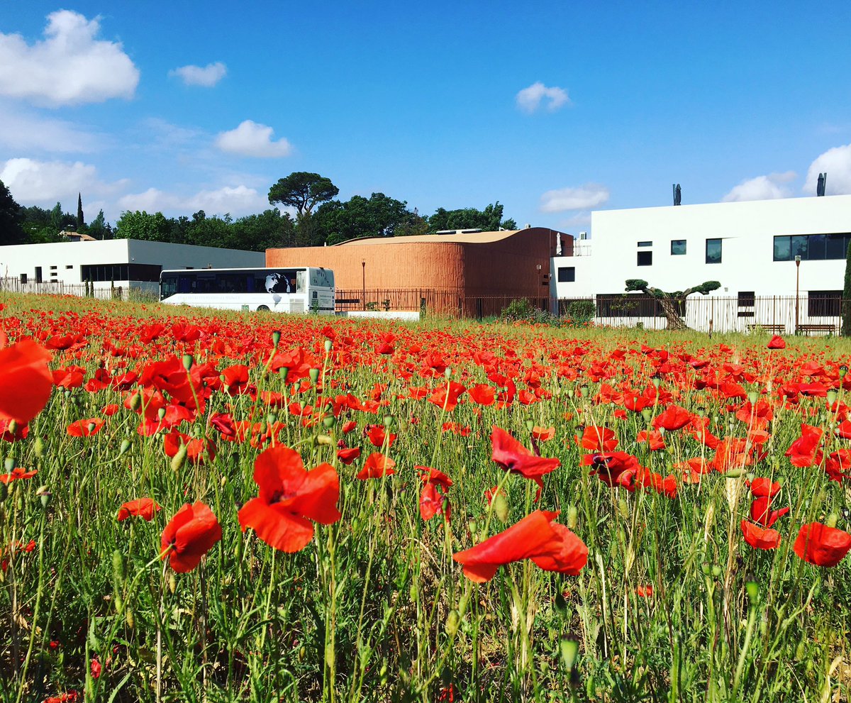 IbsofProvence's tweet photo. Our lovely new campus #ibsofprovence #IBWorldSchools #aixmaville https://t.co/WKaylgn18h