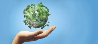 De totale milieu-impact van Philips bedroeg 7,2 miljard euro in 2017 (omzet in dat jaar 17,8 miljard). Dat blijkt uit de environmental profit&amp;loss account die het bedrijf opstelde en door accountant E&amp;Y liet checken. 11% van de impact zit in supply chain. nevi.nl/nieuws/11-ecol…