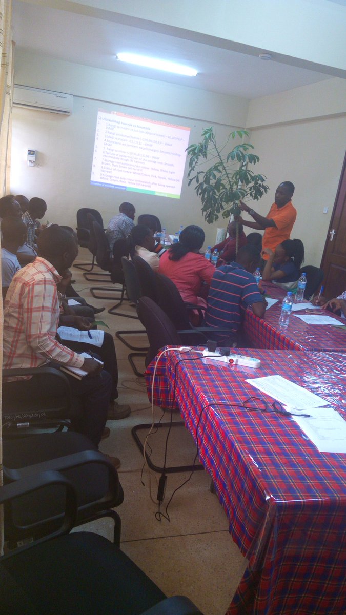 Only authorized seed inspectors are the key driver for cost-effective inspection of clean cassava seed fields#. Training on board for TOSCI authorized seed inspectors who will be inspecting the fields on behalf of TOSCI particularly in remote areas #