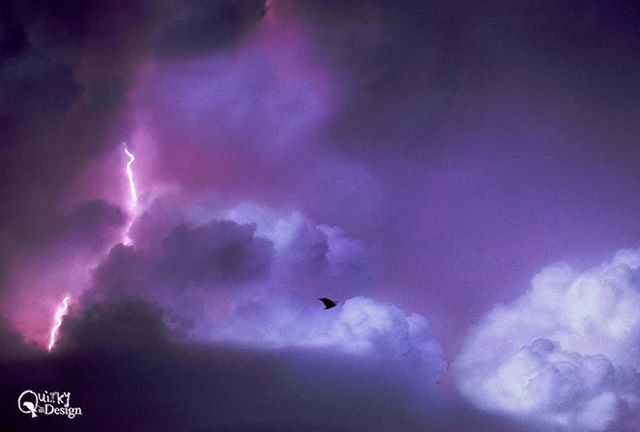 QuirkyByDesign's tweet photo. "Dramatic Skies" over #HemelHempstead, another #lightning capture from the other night. 😺
#herts #hertfordshire #lightening #lightningstrike #thunder #thunderstorm #ukweather #UK #feelslikesummer #ig_nature #ig_skies #thunderstorms #summer #summerst… https://t.co/qdTBtqnri7 https://t.co/znb9EZK6wy