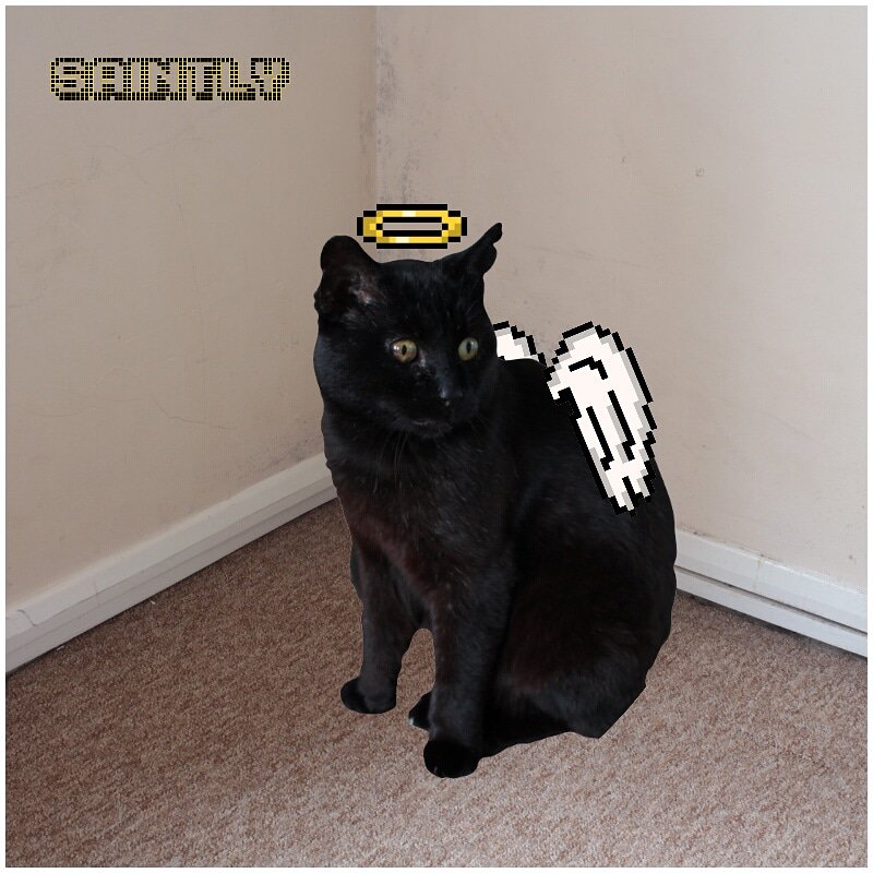 Tilt Shift Music tweet media