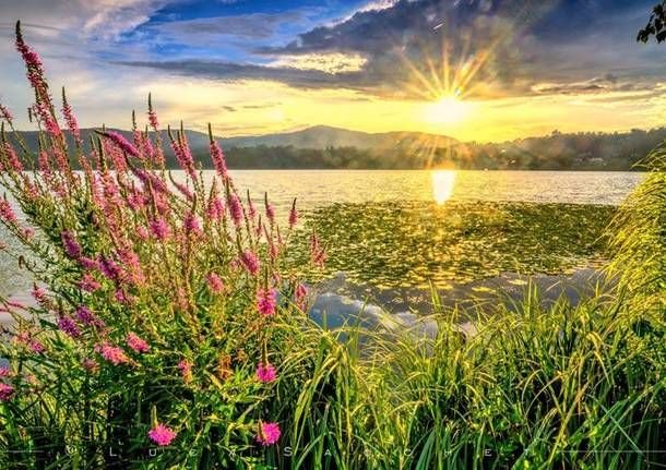 Gecoim's tweet image. L'#Estate è alle porte...ma se vuoi vivere in #vacanza tutto l'anno, ecco cosa @gecoim Vi propone! La tua #casa al #lago
gecoim.it/home/real_deta…