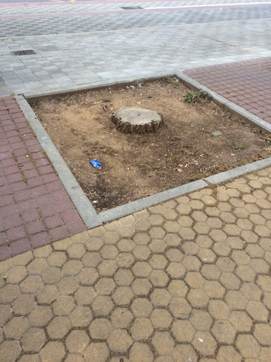 PPDistritoNorte's tweet photo. Otro barrio olvidado por la corporación del alcalde del Psoe, LOS MARES, esperan y esperan sin conseguir que se le arreglen los problemas.
#SevillaPorEncimaDeTodo
#ElNorteExiste https://t.co/wvc75k0pww