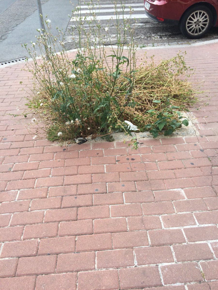 PPDistritoNorte's tweet photo. Otro barrio olvidado por la corporación del alcalde del Psoe, LOS MARES, esperan y esperan sin conseguir que se le arreglen los problemas.
#SevillaPorEncimaDeTodo
#ElNorteExiste https://t.co/wvc75k0pww