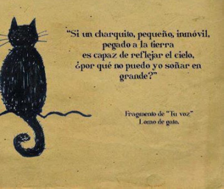 EIRconsejos's tweet photo. Cuando te digan que el #EIR es muy difícil y no lo saca nadie...
Contesta https://t.co/KpL7XfyeIw