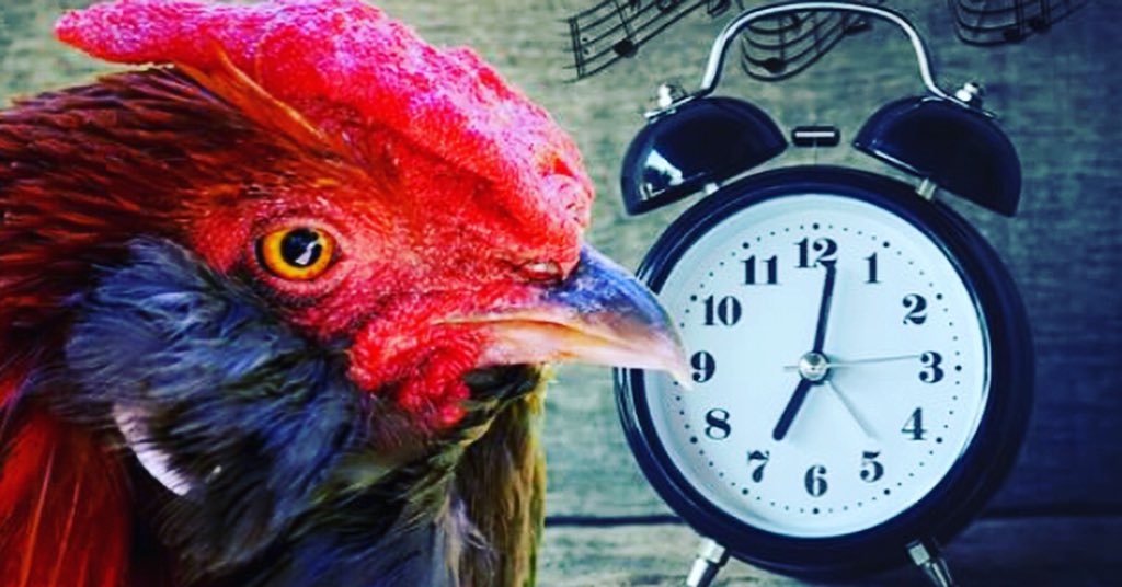 😱 Let op mensen 😱

Nog 2 dagen Vroege-Vogel-Korting! #FVA18 

👉 Check festivalderaa.nl/vroege-vogel-v…