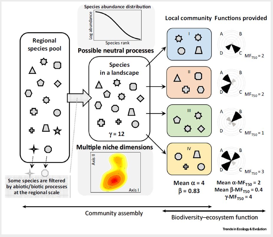 Rupert Seidl tweet media