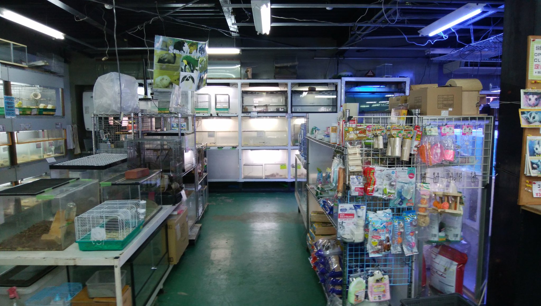 Pd熱帯魚センター小動物部 Auf Twitter 小動物コーナーの棚の配置換えをいたしました 商品の陳列も若干変わっていますので お探しの商品が見つからない際にはお気軽にスタッフまでお尋ね下さいね Pd熱帯魚センター Pd熱帯魚センター小動物部 Auf Twitter 小動物コーナーの棚の配置換えをいたしました 商品の陳列も若干変わっていますので お探しの商品が見つからない際にはお気軽にスタッフまでお尋ね下さいね Pd熱帯魚センター