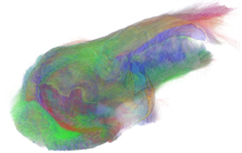 HumanBrainProj's tweet photo. HBP researchers have published a novel post-mortem mapping of the hippocampus at unprecedented resolution using ultra-high field magnetic resonance imaging.
https://t.co/kHAf1JhtbR https://t.co/4kMzTvzDDu