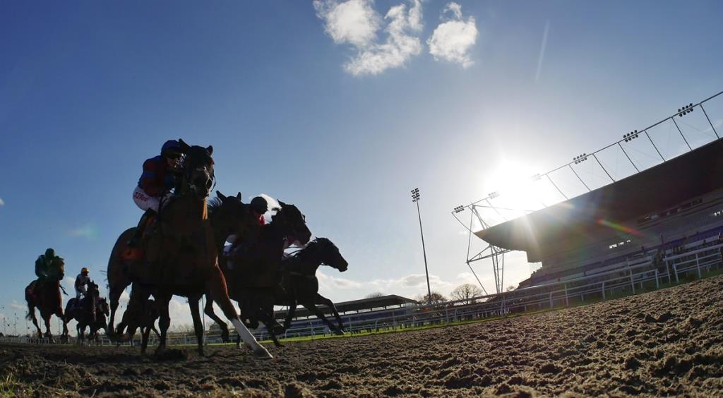 kemptonparkrace's tweet photo. Fancy #winning four tickets to a Summer Series fixture of your choice? RT &amp; FOLLOW by 5pm today to #Win #WinWednesday #Kempton 🏇 T&amp;Cs apply https://t.co/ixEKB3DvTr https://t.co/wuyXXROdgN