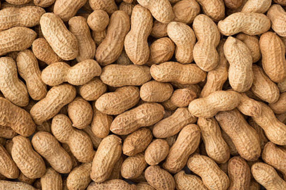 Le arachidi sono legumi e non frutta secca