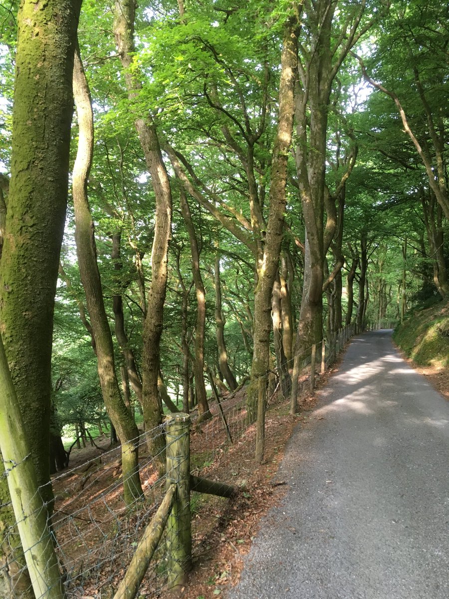 chrisstovell's tweet photo. Ran 7 miles of hills and vales #earthathon #werun2 gether https://t.co/P4qxdInuGe